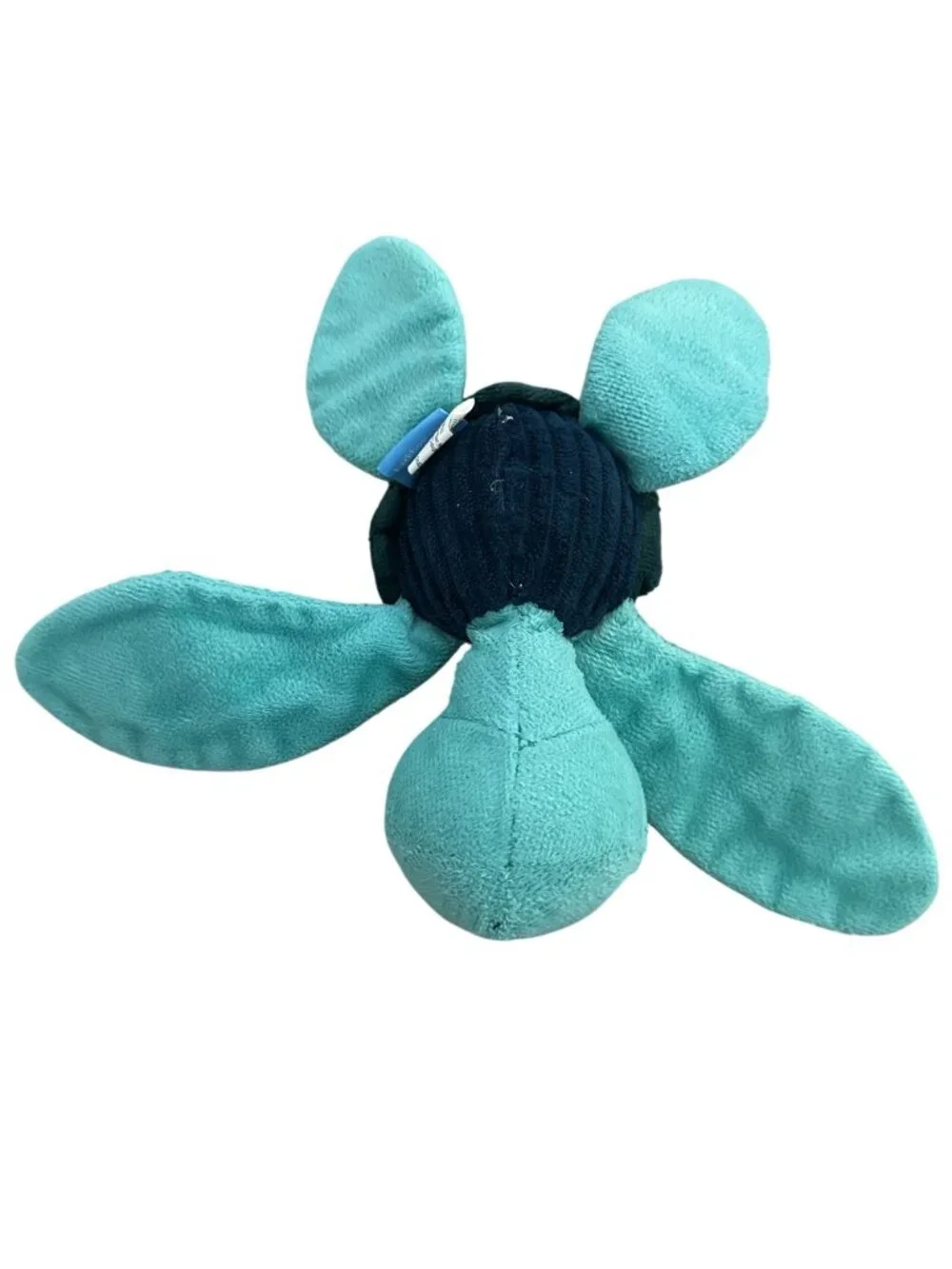 Bark Box Dog Toy Medium Sydney the Sea Turtle Crinkle Squeaker BarkBox CLEAN